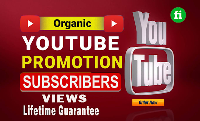I will do super fast organic youtube video promotion