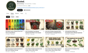 youtube4-1780661891.PNG